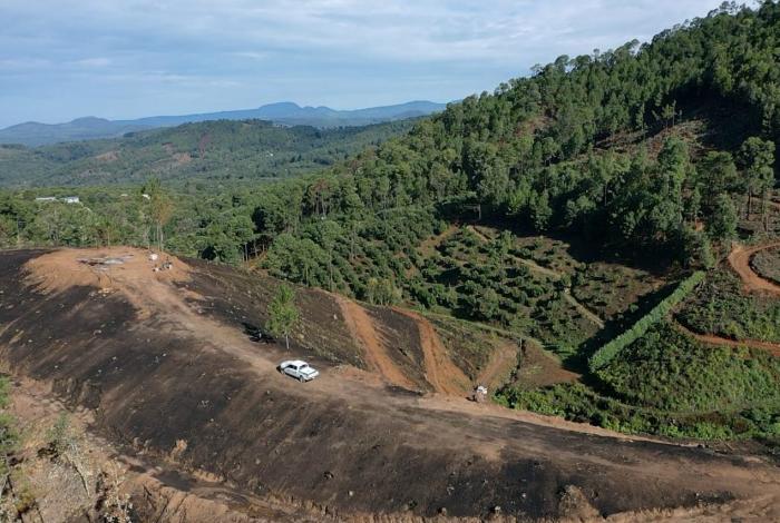 Ecocidio y crimen organizado