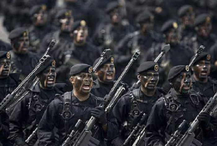 Ejército despliega Murciélagos en Michoacán, tropas élite que pueden operar en la oscuridad