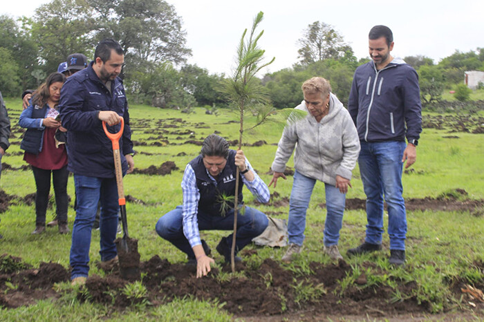 Ejidatarios, empresas e instituciones plantan miles de árboles en Capula