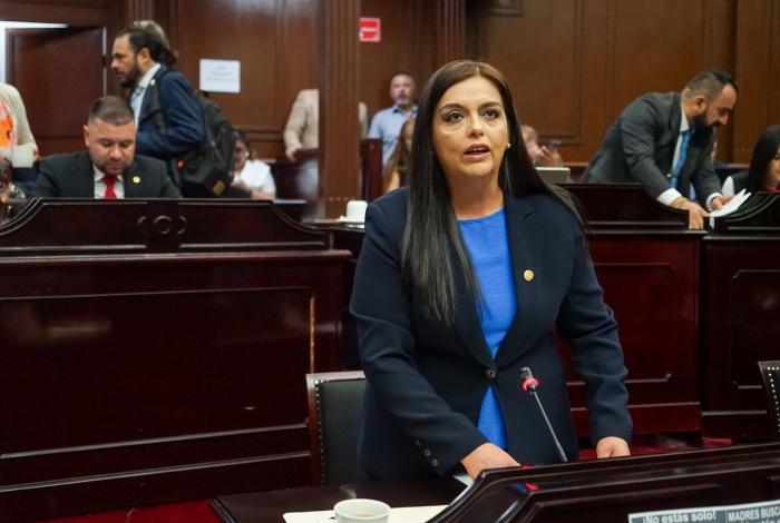 El brote de sarampión no era inevitable: diputados del PAN