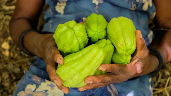 El chayote y otras verduras impulsan inflación por incremento en precios