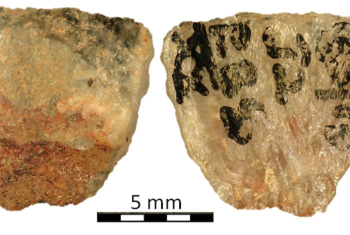 El descubrimiento del uso del veneno en la caza de hace 60.000 años