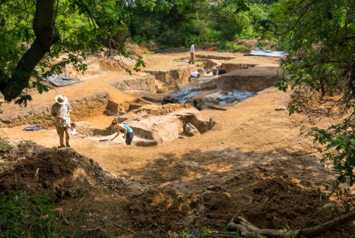 El fuego fue un punto de no retorno para la evolución humana hace más de 400.000 años
