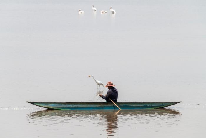 El lago de Pátzcuaro está en riesgo de desaparecer: fotógrafo documenta proceso