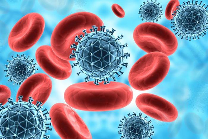 El Nobel de Medicina reconoce los descubrimientos sobre cómo se regula el sistema inmune