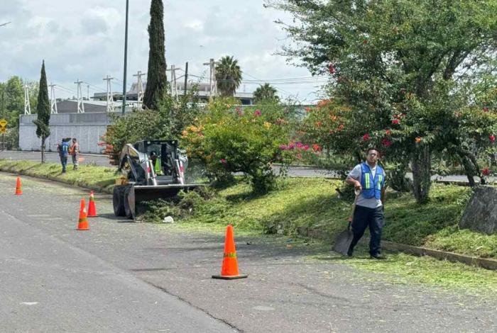 Embellecen accesos de Morelia con jornada de limpieza integral en la avenida Miguel Hidalgo