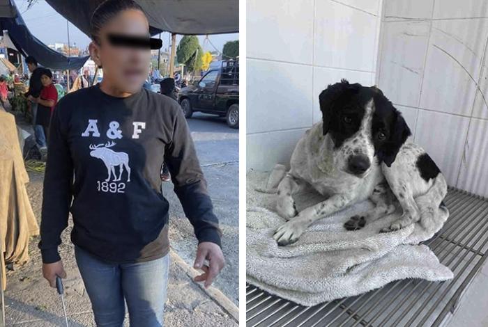 Emiten fallo condenatorio contra mujer que atacó a un perro con un machete en Zitácuaro