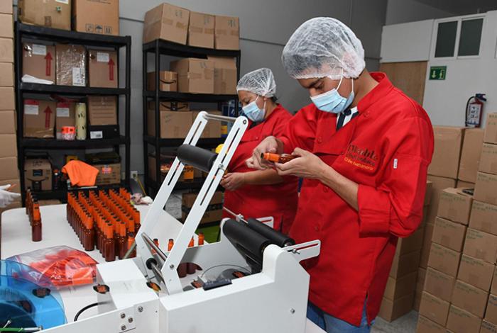Empleo formal subió 1,3 % en México tras la creación de más de 278,000 puestos en 2025
