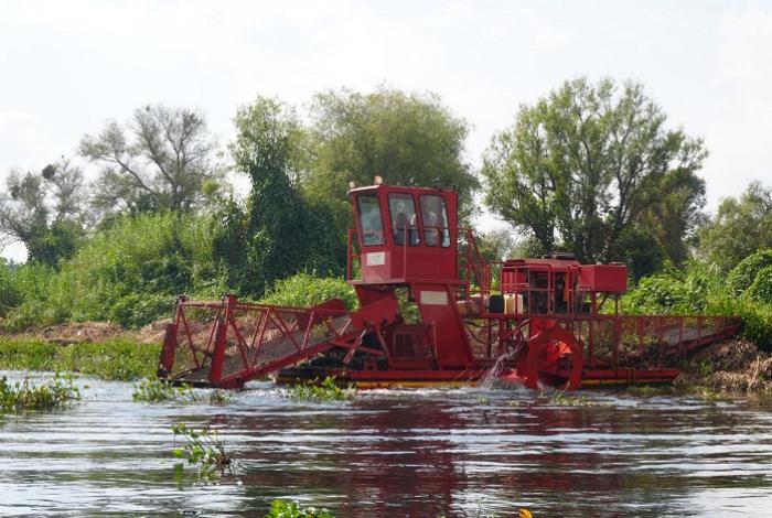Empleo temporal y limpieza integral marcan la ruta para rescate del lago de Pátzcuaro: Compesca