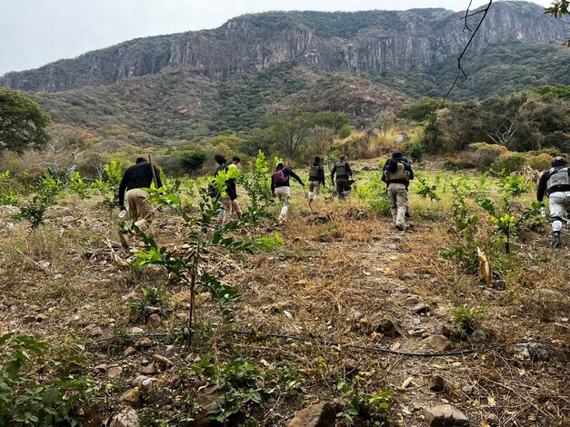 En 2024, Fiscalía de Michoacán localizó con vida a 686 personas reportadas como desaparecidas