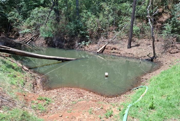 En Acuitzio FGE catea en predio tras denuncia de cultivo ilegal de aguacate; ya tenía piletas