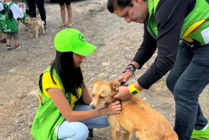 En el Día Mundial del Perro, Ernesto Núñez refrenda compromiso del Partido Verde con el bienestar animal