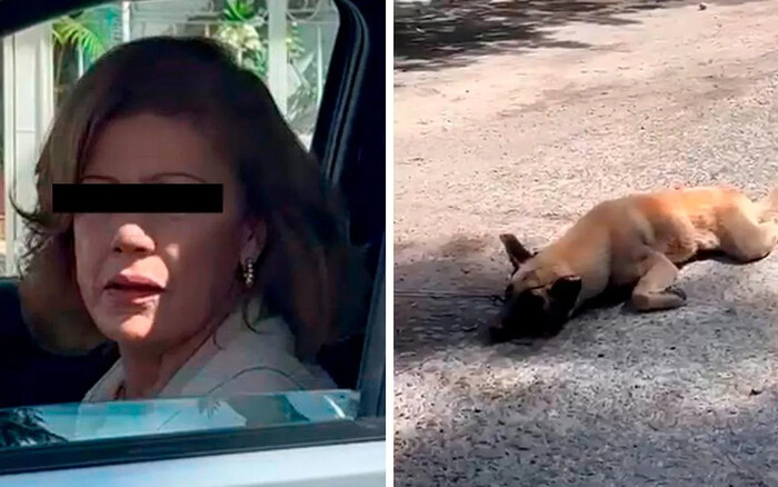 En Jalisco, mujer arrastró a un perro con su camioneta para castigarlo