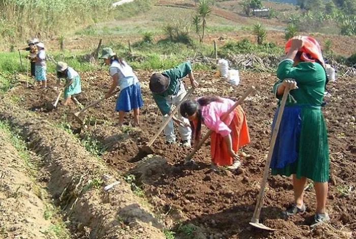 En Michoacán, más de 697 mil mujeres rurales sostienen la comunidad y la agricultura