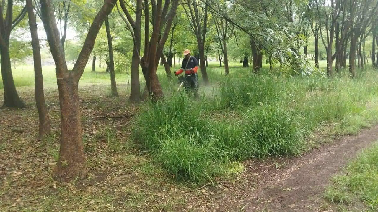 En octubre, arrancará intervención del Arboretum de Morelia