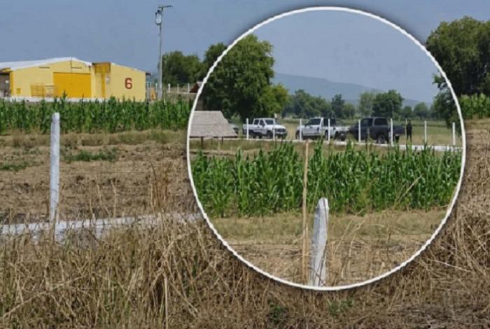 Encuentran a hombre con disparo en la cabeza cerca de la granja Kepollo, en Álvaro Obregón