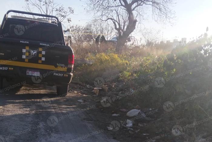Encuentran a joven colg4do en árbol de Villas del Pedregal