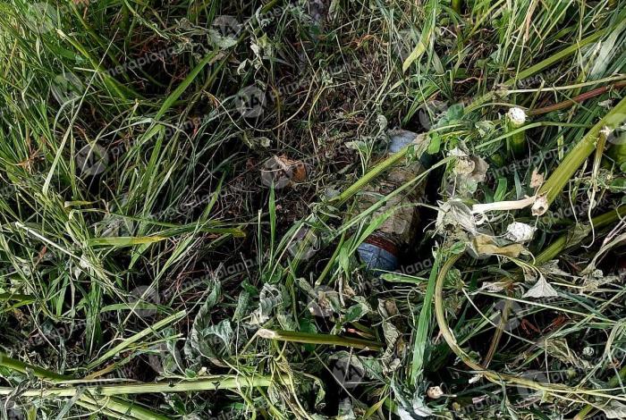 Encuentran artefacto expl0siv0 en predio de Buenavista