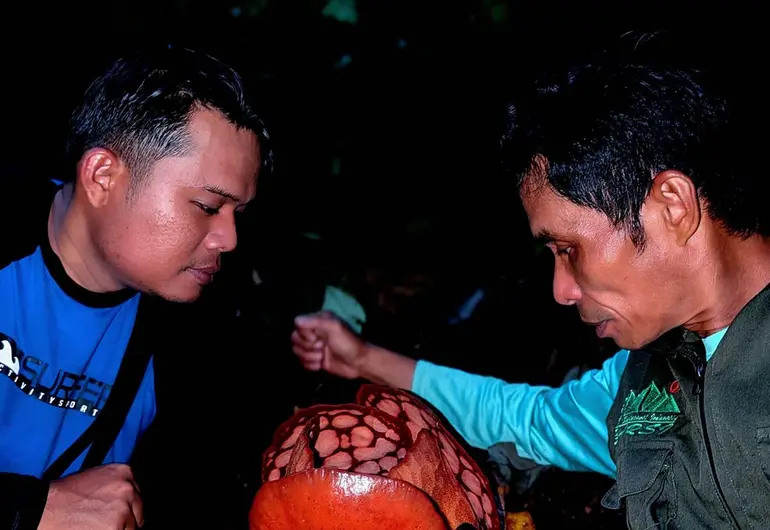 Encuentran la flor más rara del mundo en Indonesia