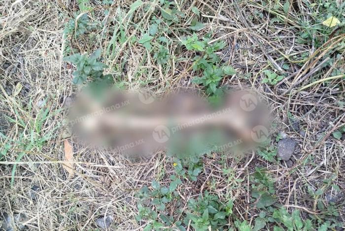 Encuentran r3stos humanos en lote baldío de Morelia