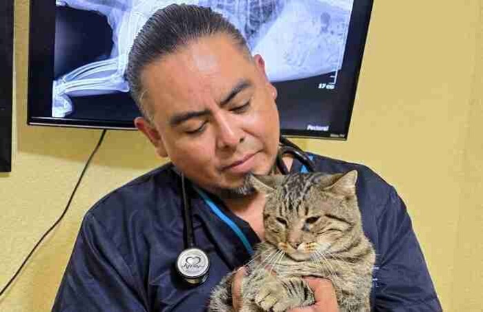 Enfermedades respiratorias en perros y gatos se disparan 60% en temporada de lluvias y frentes fríos, alerta veterinario