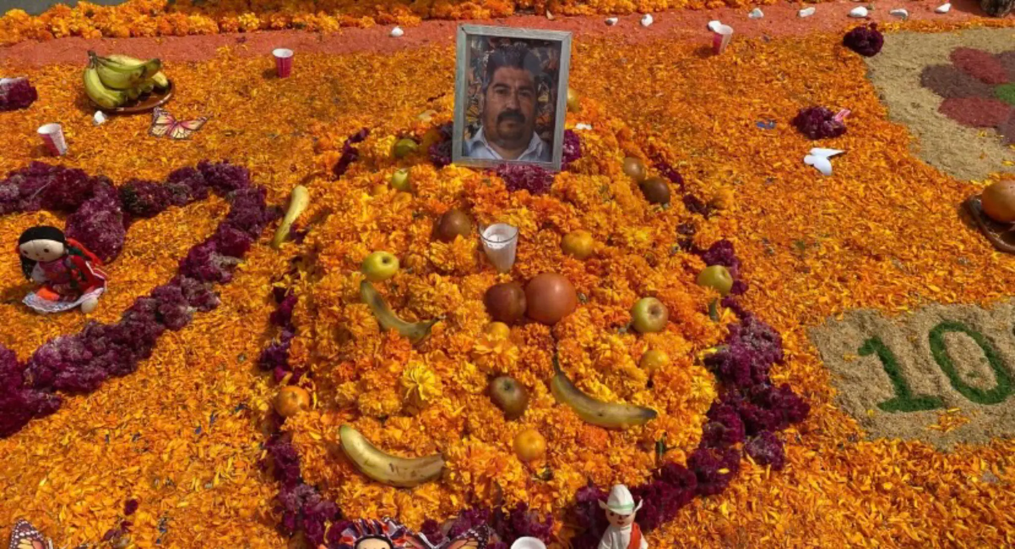 Engalana con miles de flores de cempasúchil el Jardín Morelos