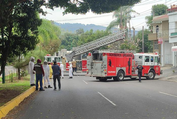 Enjambre de abejas deja seis heridos en Uruapan; una persona inconsciente