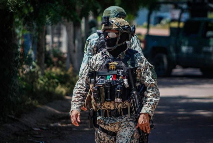 Enjambre Vs. la elección del narco