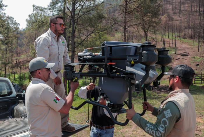 ¡Entérate! Así se reforesta con drones para recuperar bosques michoacanos