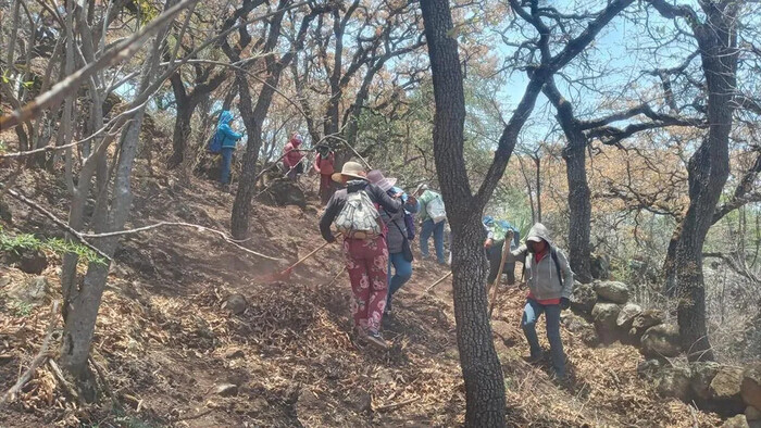 Esfuerzos conjuntos para la restauración del Cerro del Águila