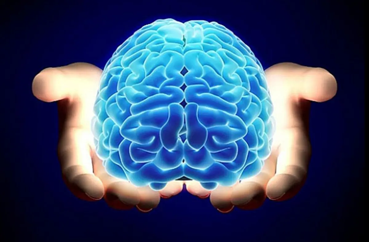 Especialistas de la UNAM analizan procesos del cerebro y las enfermedades neurodegenerativas