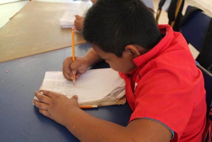 Estadísticas y encrucijadas educativas en Michoacán