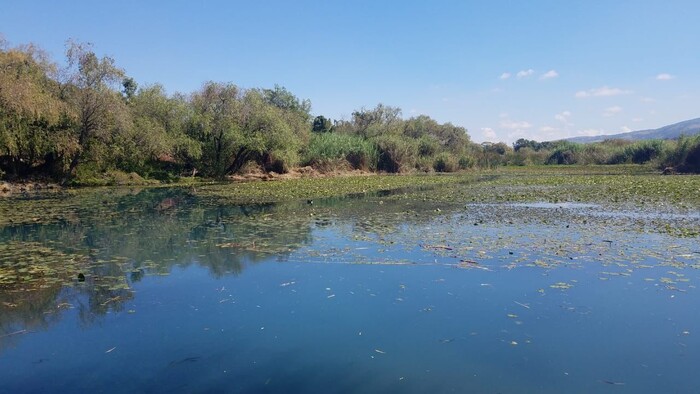 Este lunes se regularizará servicio de agua en zonas afectadas por suspensión de La Mintzita