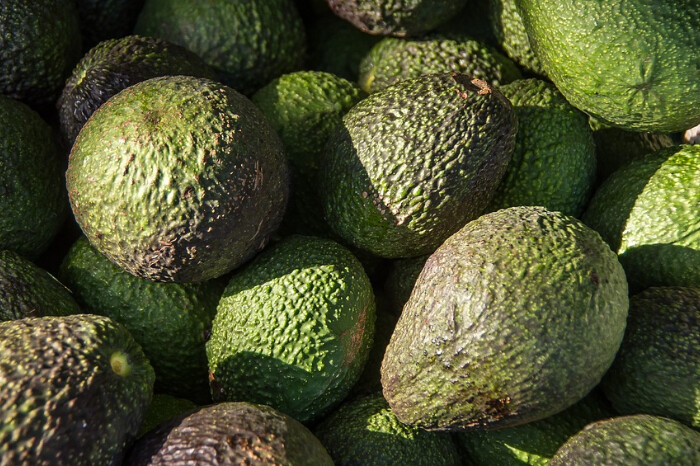 Este viernes, gobierno entregará Certificados de Buenas Prácticas Ambientales a empaques de aguacate