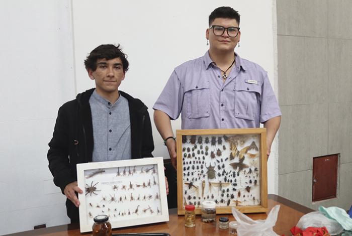 Estudiantes de la UMSNH identifican posible nueva especie de ciempiés en Michoacán