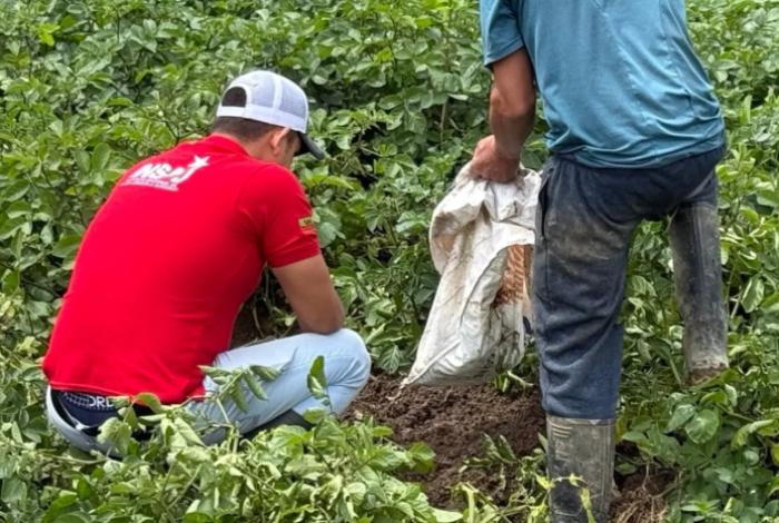 EUA acusa a tres mexicanos de explotar a compatriotas inmigrantes en granjas agrícolas
