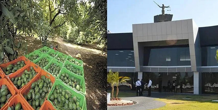 Extorsionan en FGE a aguacatero con 208 mil pesos; ahora lo acusan de cohecho