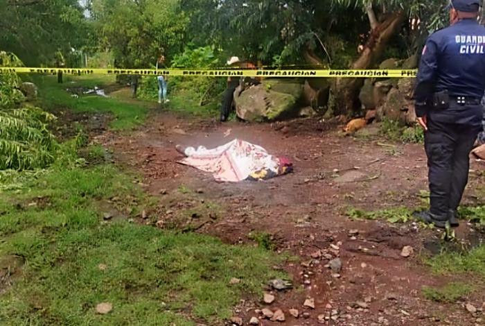 Fallece adulto mayor tras caer de un árbol que podaba en Puruándiro