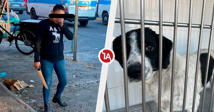 Falta de leyes justas permitirá libertad de agresora de ‘Huesitos’: animalistas