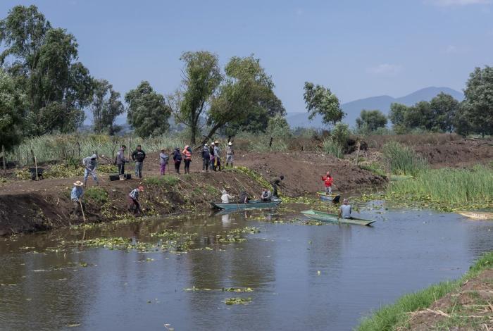 Federación designará delegado para rescate del lago de Pátzcuaro: Medio Ambiente