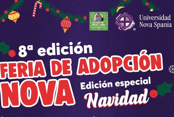 Feria navideña de adopción: 20 lomitos y michis buscan familia para cerrar el 2025