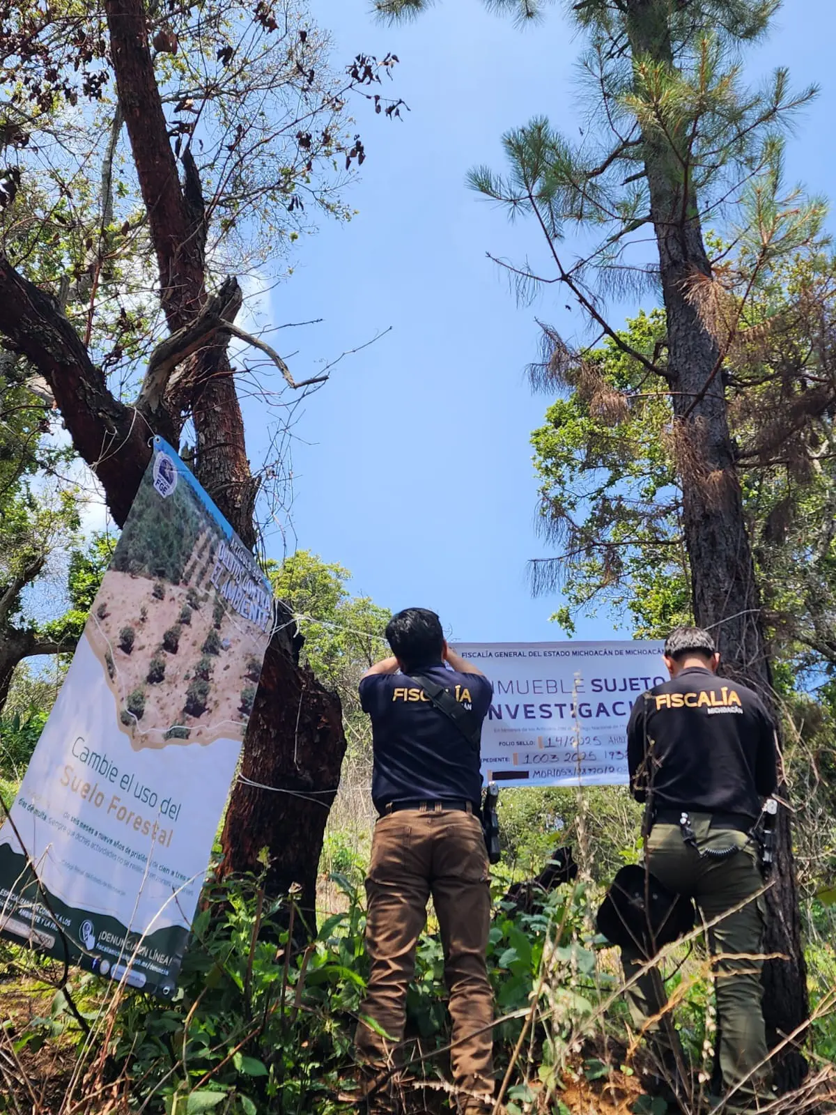 FGE realiza orden de cateo en predio de Pátzcuaro por delitos contra el medio ambiente