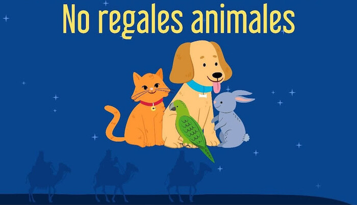 FGE refuerza acciones para erradicar venta de animales en operativo de Día de Reyes