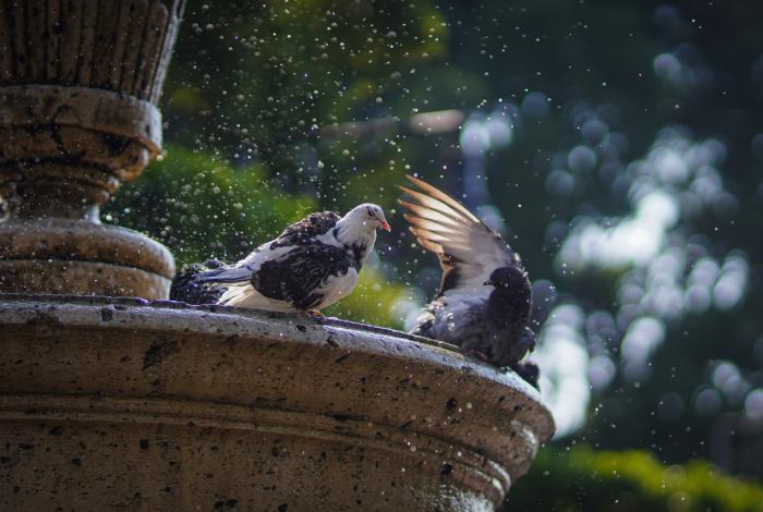 Fin de semana en Michoacán, entre mañanas frías y tardes calurosas