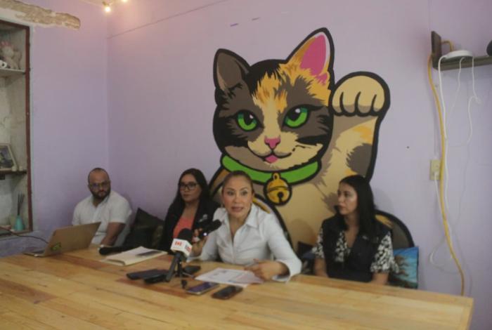 Foco rojo, nueve colonias de Morelia por abandono y maltrato animal