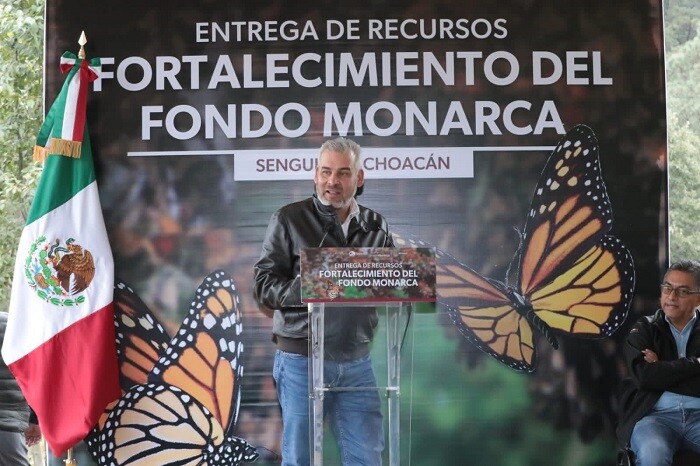 Fondo Monarca aportó un mdd a ejidatarios para cuidado de la mariposa monarca: Bedolla