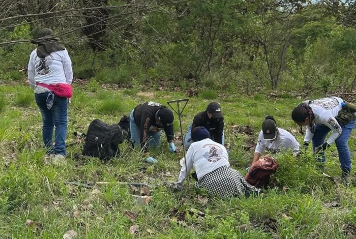 Fosa clandestina Las Agujas: 259 bolsas con restos humanos