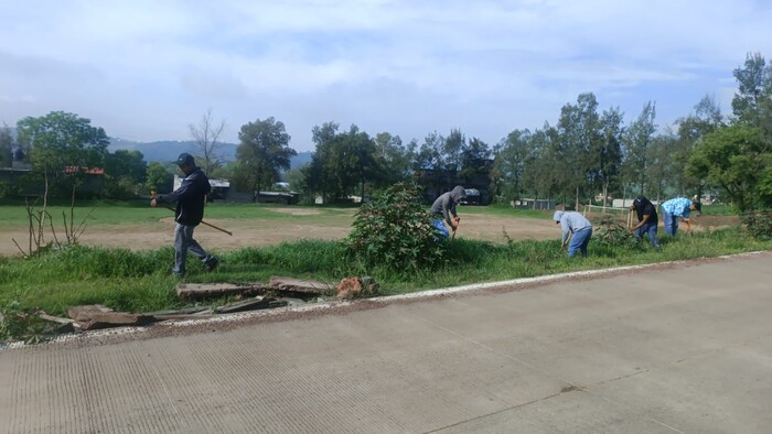 #Fotos | El Buen Gobierno de Tarímbaro plantó 200 pinos en el marco del Día del Árbol 