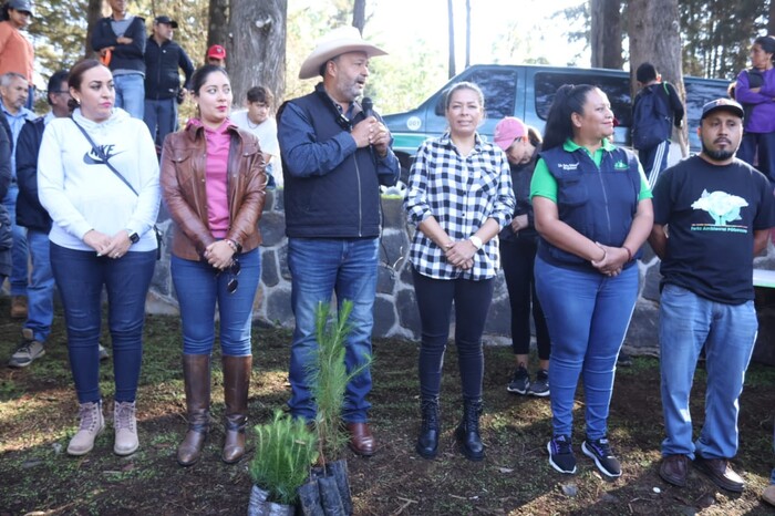 #Fotos | Inicia temporada de reforestación en Pátzcuaro, la meta son plantar 100 mil árboles