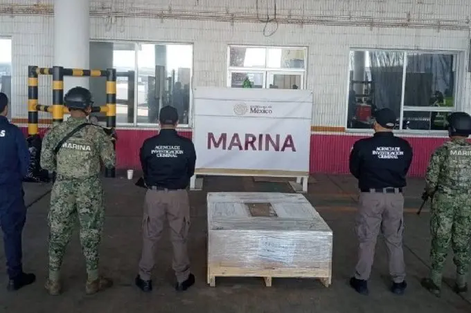 Fuerzas federales decomisan 96 kilos de la droga psicodélica DMT en Veracruz